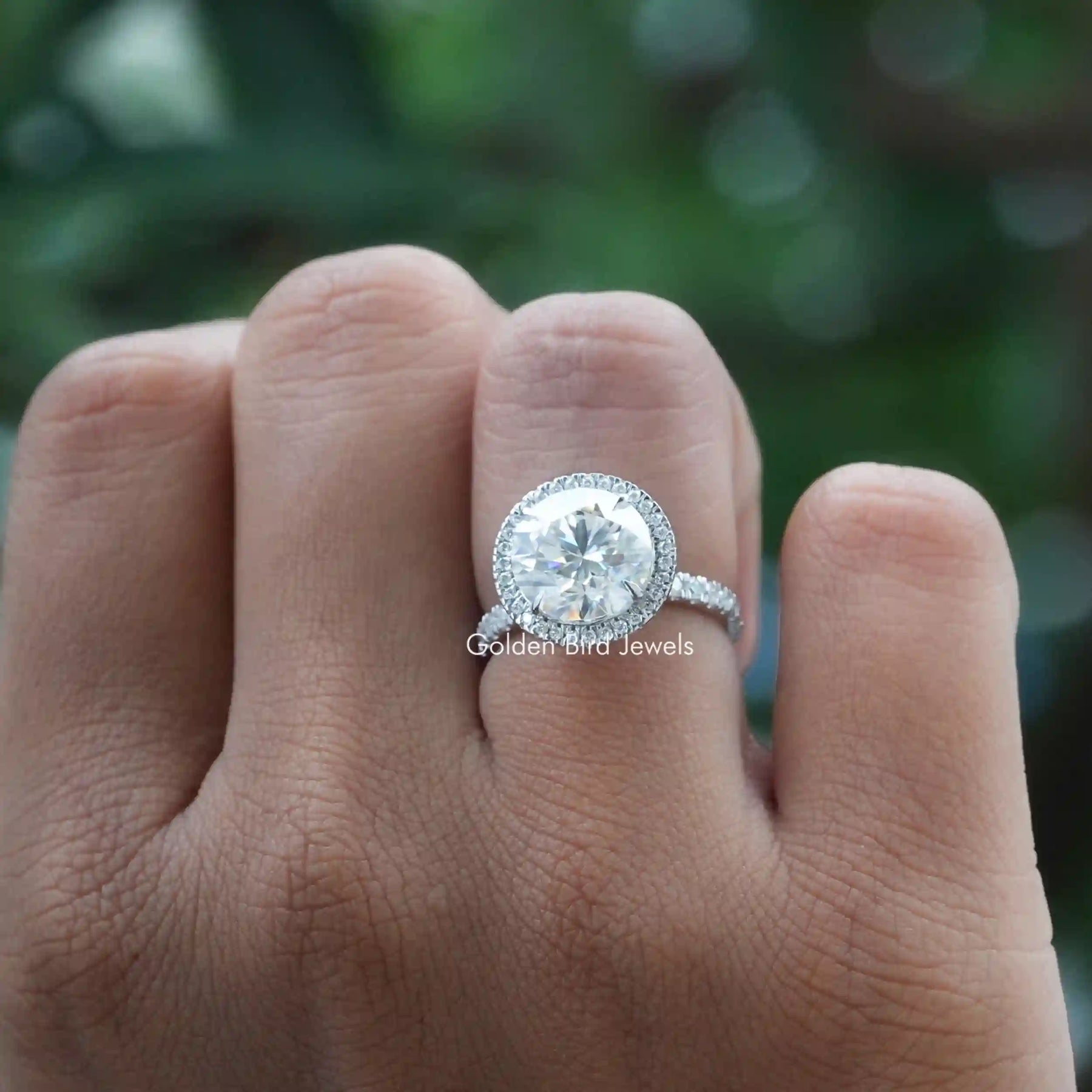 [Colorless round cut moissanite halo ring in 14k white gold]-[Golden Bird Jewels]