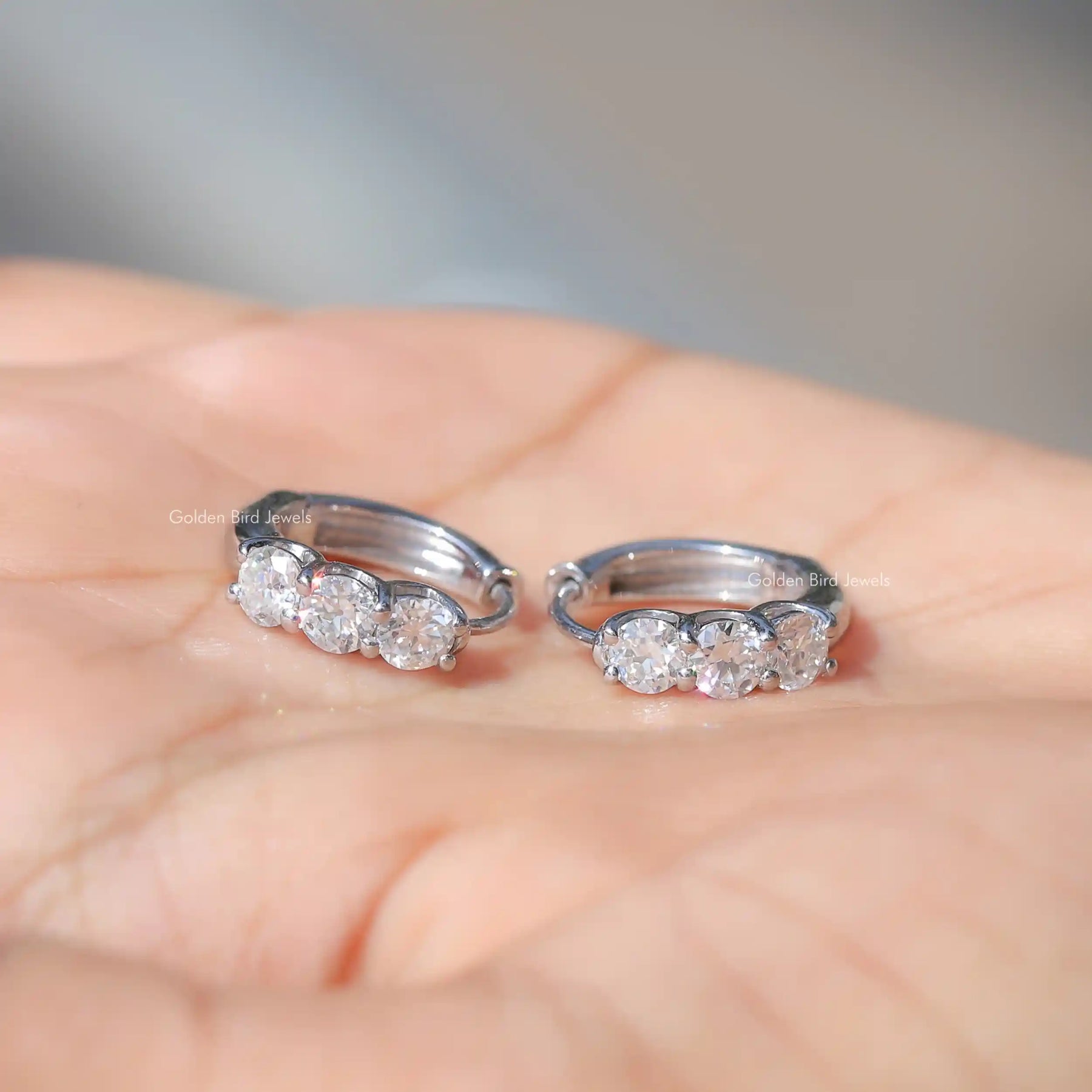 OEC Round Moissanite Hoop Earring