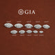 GIA Certified Marquise Cut Loose Lab Diamond