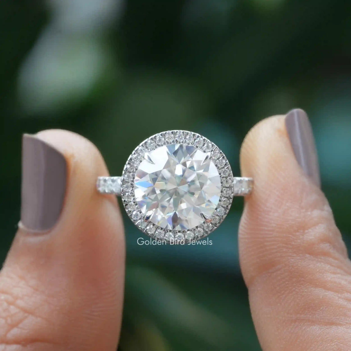 [In two finger front view of colorless round cut moissanite ring] -[Golden Bird Jewels]