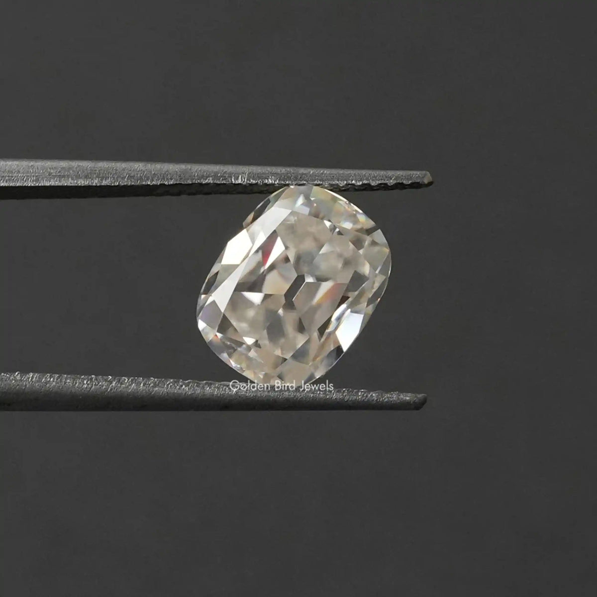 [In tweezer front view of cushion cut loose moissanite made of vvs clarity]-[Golden Bird Jewels]