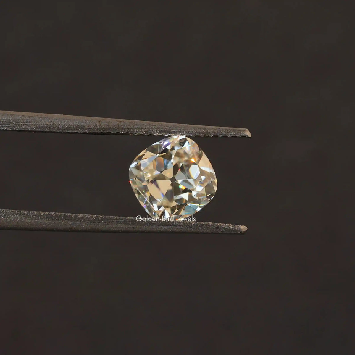 [In twizzer front view of old mine cut cushion cut loose stone]-[Golden Bird Jewels]