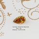 Champagne Old Mine Pear Cut Loose Stone