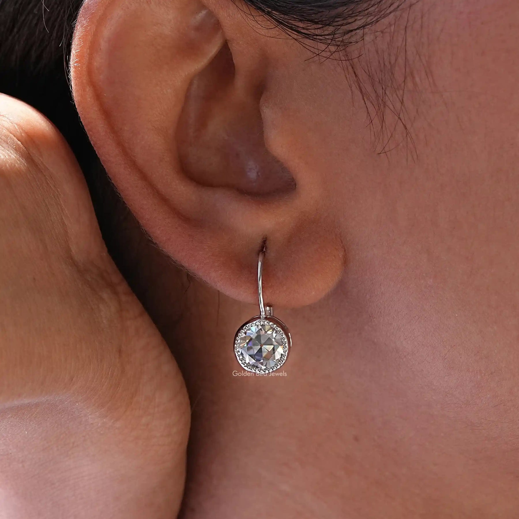 Circle Cut Drop Earrings Circle Cut Drop Earrings