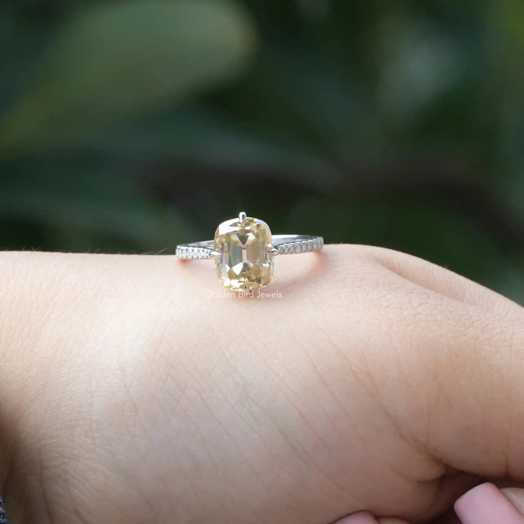 [Front view of yellow cushion cut moissanite ring made of four prongs]-[Golden Bird Jewels]