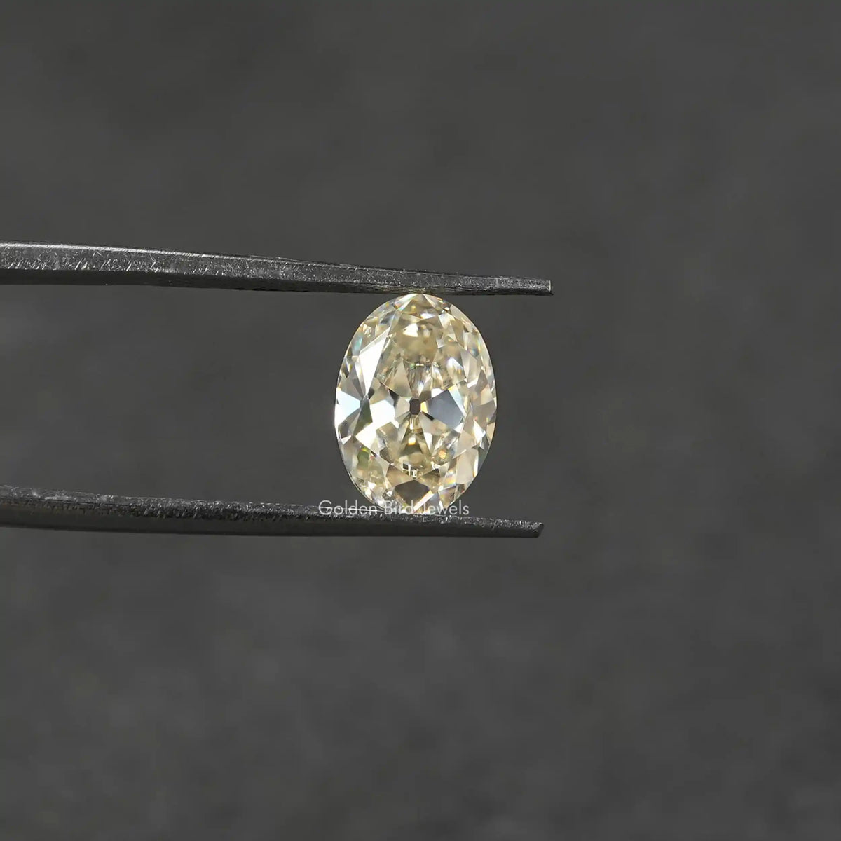 [In twizzer front view of oval cut loose moissanite]-[Golden Bird Jewels]