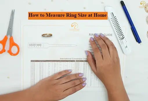 Measure Your Ring Size At Home, Ring Size Chart/Guide