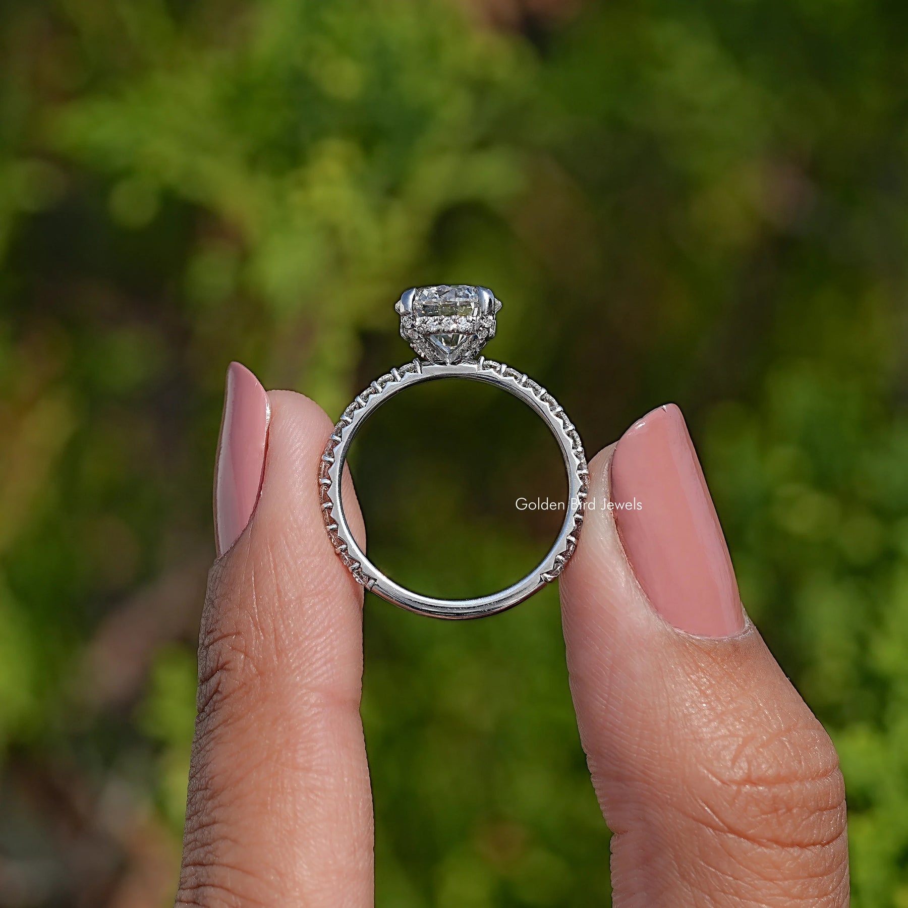 Back View Ring Round Shaped Hidden Halo Ring