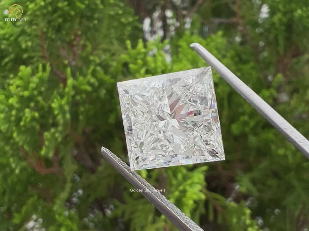 IGI Certified Princess Cut Loose Lab Diamond