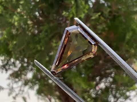 You tube Video Of Calf Head Portrait Cut Loose Moissanite 