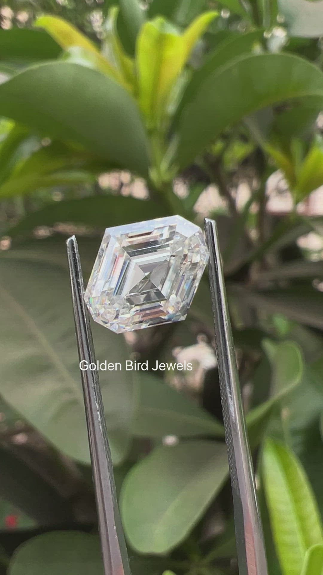 Step Cut Moval Moissanite Loose Stone