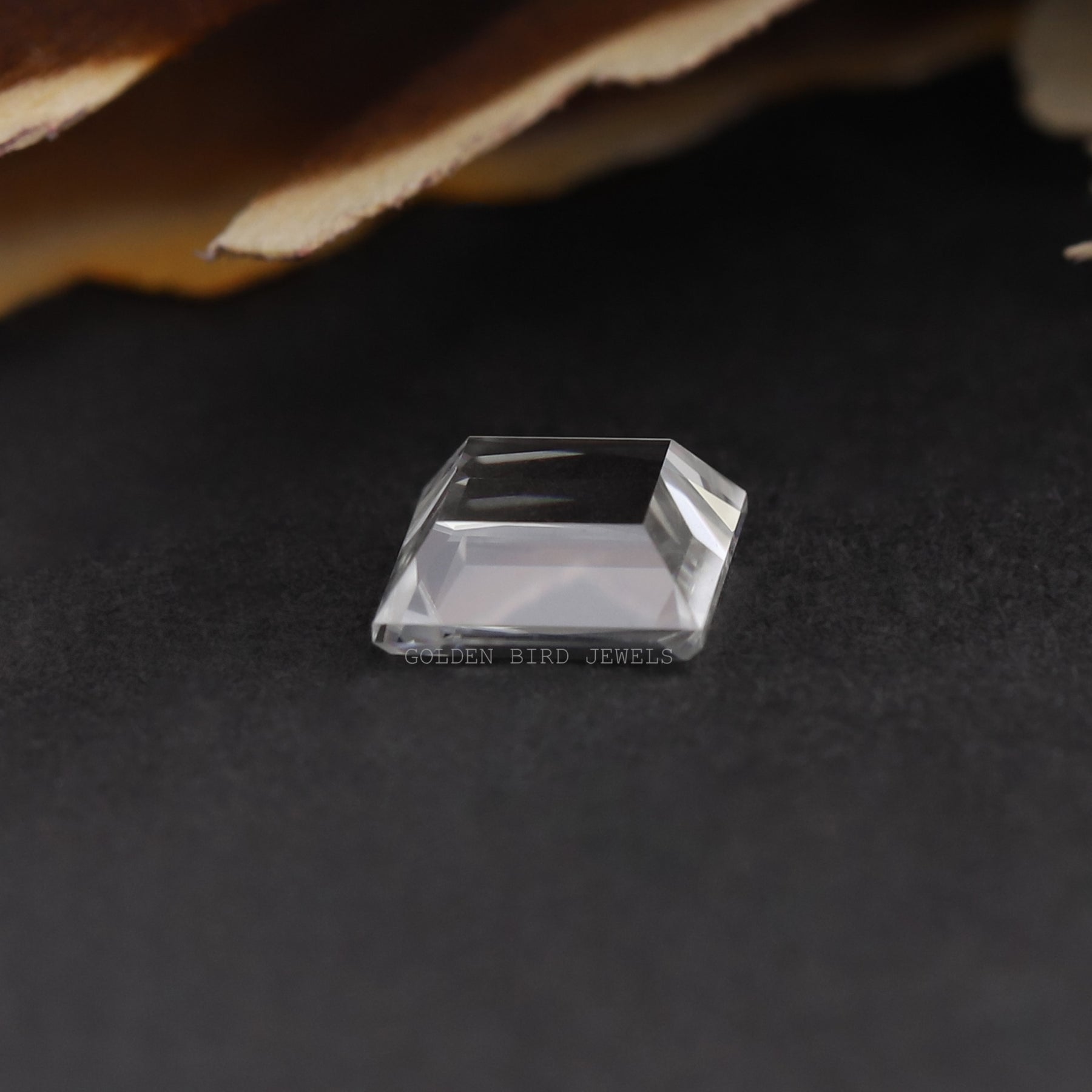 [Moissanite Princess Cut Loose Stone]-[Golden Bird Jewels]